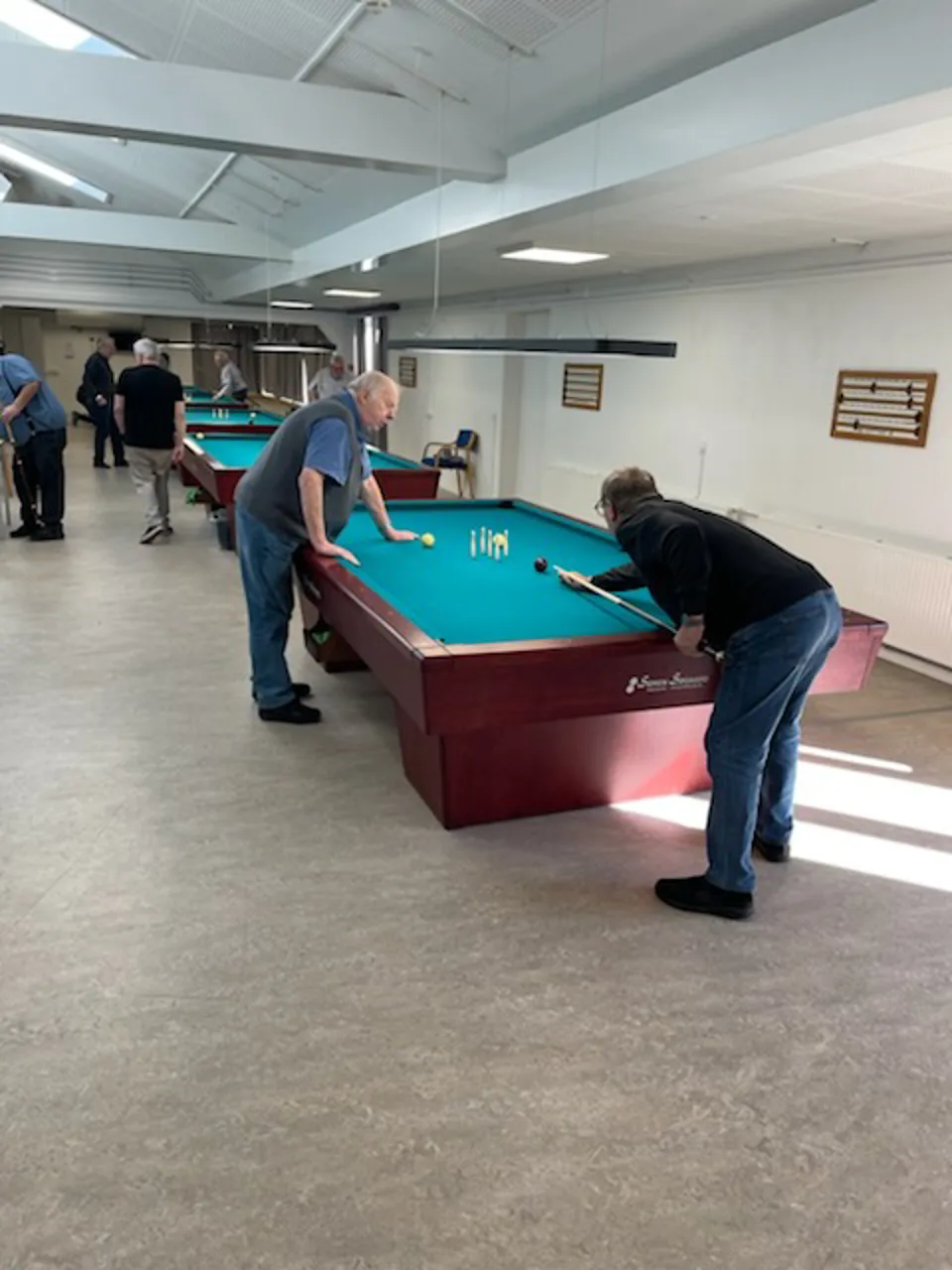 IMG 3695